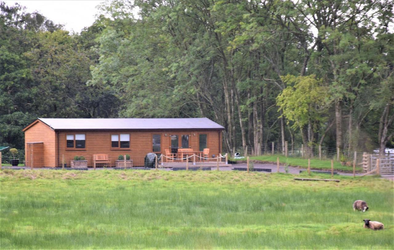 Ridge View Lodge Dumfries Exterior photo