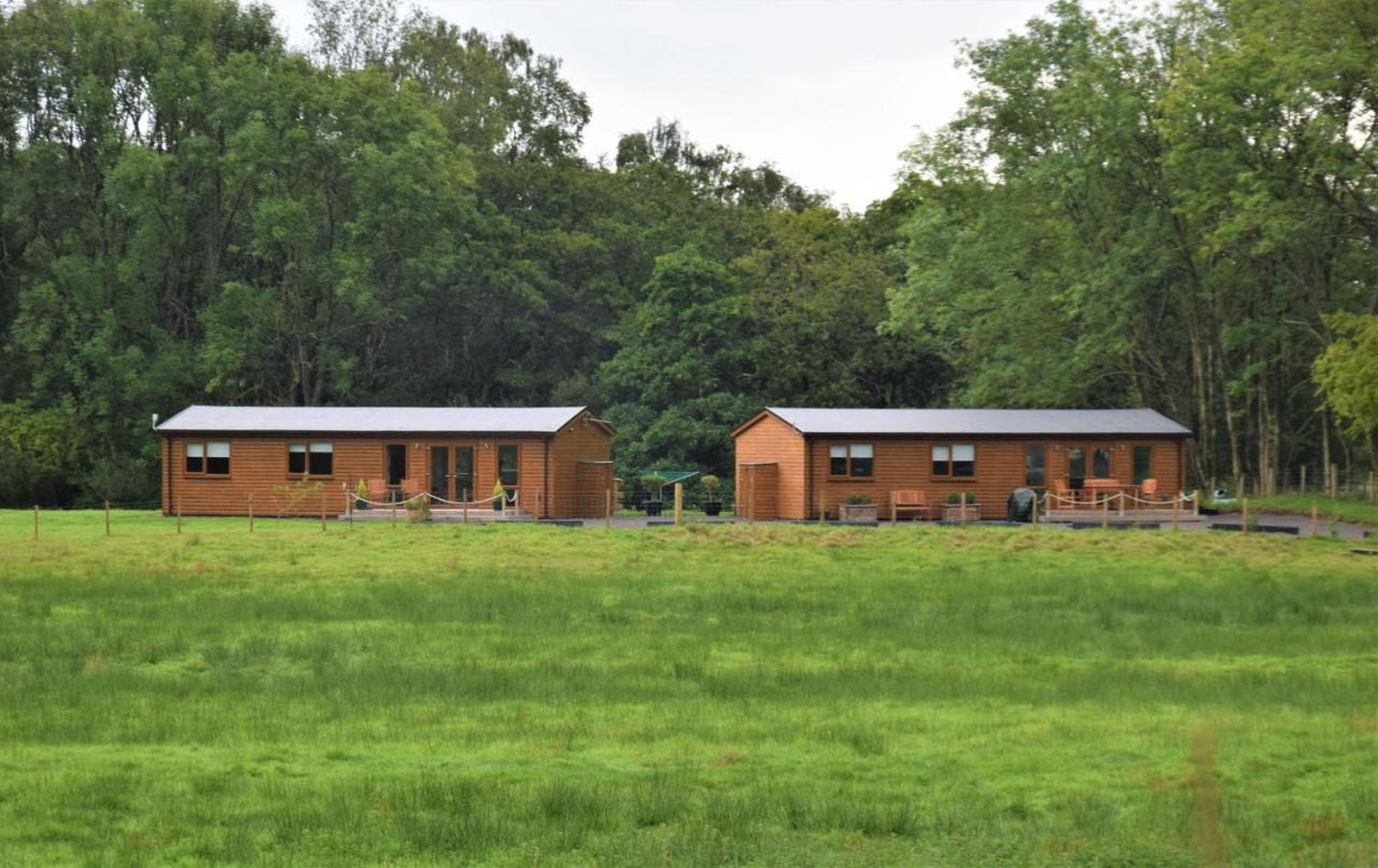 Ridge View Lodge Dumfries Exterior photo
